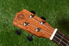 DCT DUC-600M Concert_5
