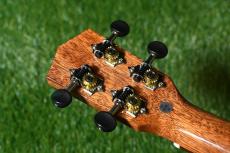 DCT DUC-600M Concert_6