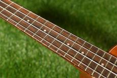 DCT DUC-600M Concert_7