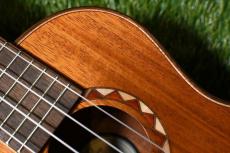 DCT DUC-600M Concert_9