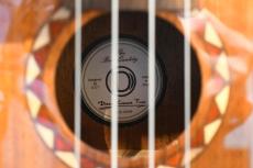 DCT DUC-600M Concert_15