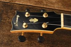 Sunny Soprano Archtop Ukulele_5
