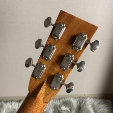 ASTURIAS D. PRE-WAR Tree of Life anniversary【現物画像】【最大36回分割無金利 実施中】_8