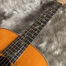 ASTURIAS D. PRE-WAR Tree of Life anniversary【現物画像】【最大36回分割無金利 実施中】_9