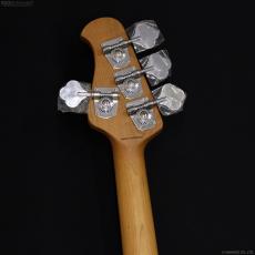 Sterling by MUSIC MAN StingRay Ray34 [Dorado Green]_7