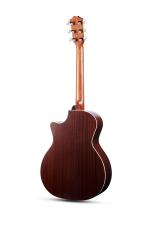Taylor 【近日入荷予定 / 受付本数限定有】Taylor 314c The Last of Us Replica / Tobacco Sunburst_4