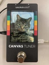 WALRUS AUDIO Canvas Tuner  -WAL-CANV/TU-_8