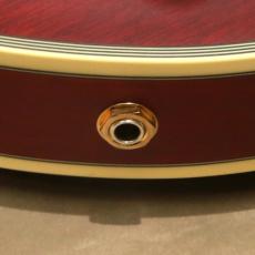 D'Angelico Deluxe Series Deluxe SS P-90 , Satin Trans Wine_10