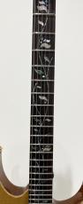 Ibanez RG8570EM-NT_4