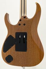 Ibanez RG8570EM-NT_6