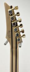 Ibanez RG8570EM-NT_9