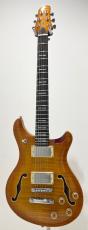 Sire Larry Carlton Q7 Hollow AB_2