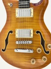 Sire Larry Carlton Q7 Hollow AB_3