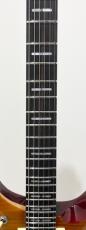 Sire Larry Carlton Q7 Hollow AB_4