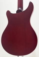 Sire Larry Carlton Q7 Hollow AB_6