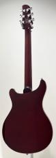 Sire Larry Carlton Q7 Hollow AB_7