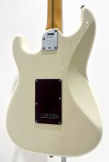 Fender American Professional II Stratocaster HSS, Rosewood / Olympic White_5