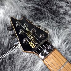 EVH Wolfgang WG Standard QM Northern Lights_4
