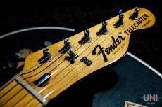 Fender Telecaster Thinline / 1976_2