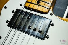 Fender Telecaster Thinline / 1976_4