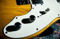 Fender Telecaster Thinline / 1976_5