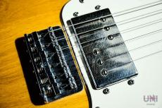 Fender Telecaster Thinline / 1976_6