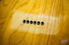 Fender Telecaster Thinline / 1976_7