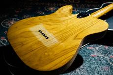 Fender Telecaster Thinline / 1976_8