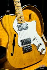 Fender Telecaster Thinline / 1976_9