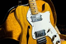 Fender Telecaster Thinline / 1976_10