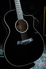 Taylor 214ce-BLK DLX / 2019