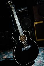 Taylor 214ce-BLK DLX / 2019_2