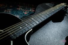 Taylor 214ce-BLK DLX / 2019_3