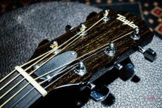 Taylor 214ce-BLK DLX / 2019_4