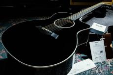 Taylor 214ce-BLK DLX / 2019_8