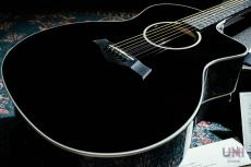 Taylor 214ce-BLK DLX / 2019_9