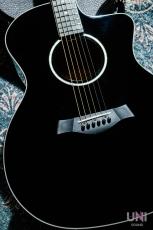 Taylor 214ce-BLK DLX / 2019_11