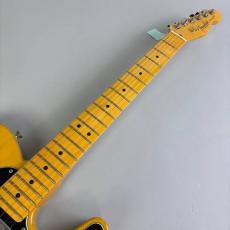 Fender American Professional II Telecaster_3