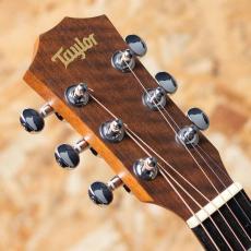 Taylor Baby Taylor BT2 2018_4