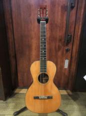 Washburn Early 1920's Washburn Style 1124