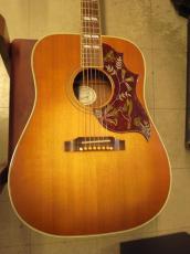 Gibson Hummingbird (2007)
