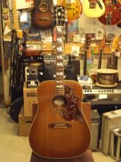 Gibson Hummingbird (2007)_2