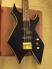 Burny XB-95H