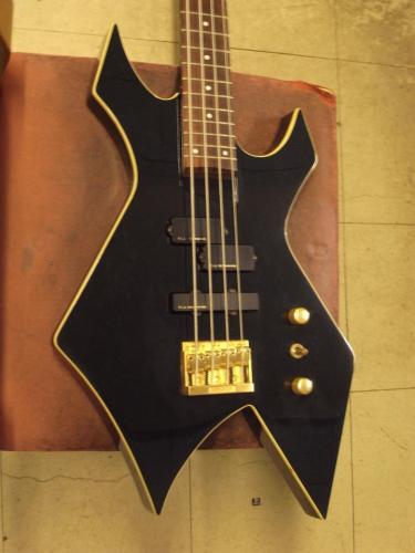 Burny XB-95H