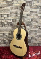 パコ・カスティージョ　Paco Castillo Model:201  松・サペリ【新品】_2