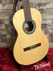 パコ・カスティージョ　Paco Castillo Model:201  松・サペリ【新品】_3