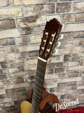 パコ・カスティージョ　Paco Castillo Model:201  松・サペリ【新品】_7