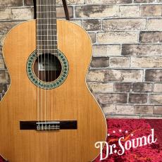 パコ・カスティージョ　Paco Castillo Model:201  杉・サペリ【新品】