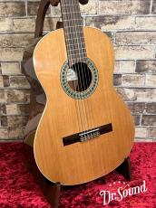 パコ・カスティージョ　Paco Castillo Model:201  杉・サペリ【新品】_3