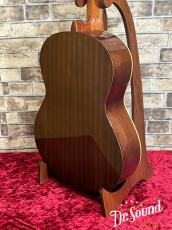 パコ・カスティージョ　Paco Castillo Model:201  杉・サペリ【新品】_4